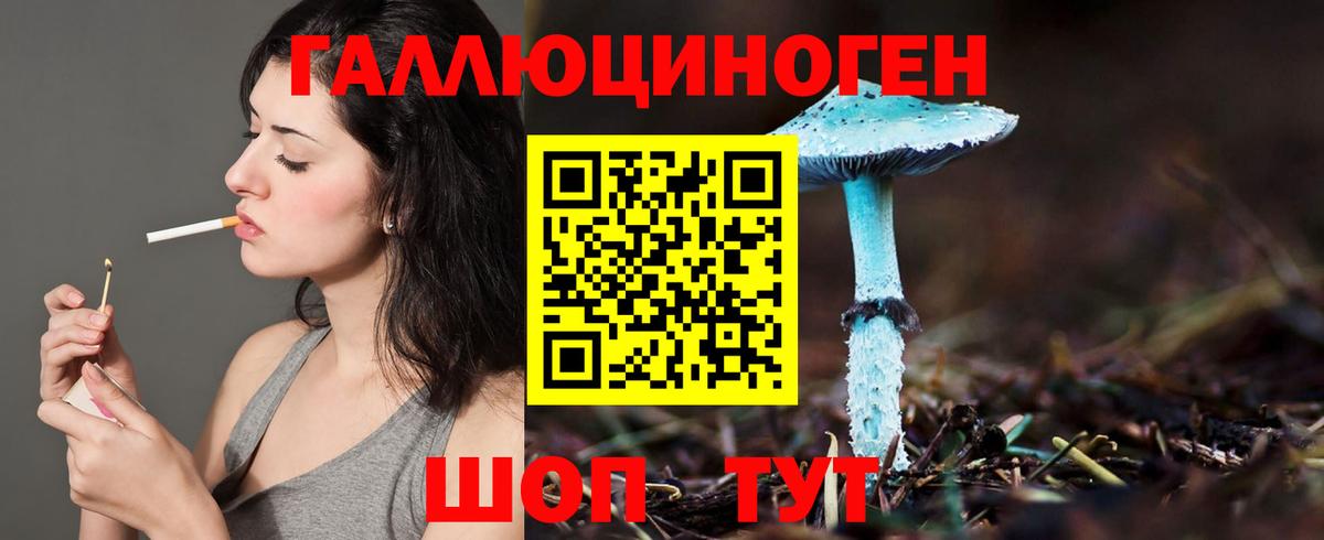 Галлюциногенные грибы Psilocybine cubensis  Вход с VPN  Новосибирск 
